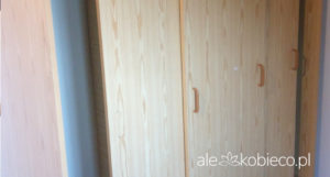 DIY: Malowanie szafy w okleinie
